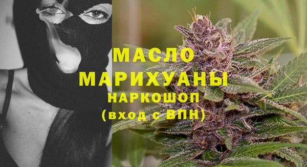 мет Инта