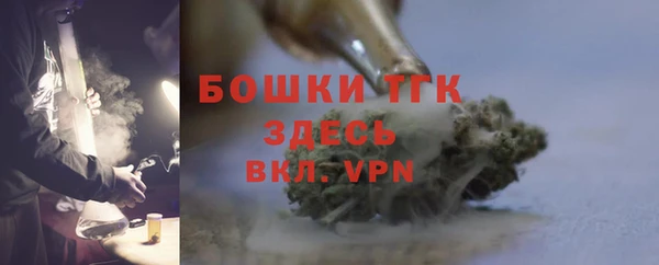 мет Инта