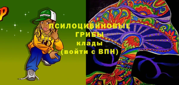 мет Инта
