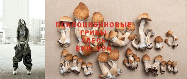 мет Инта