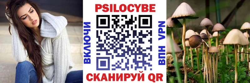 Купить  Калининск  Псилоцибиновые грибы GOLDEN TEACHER 